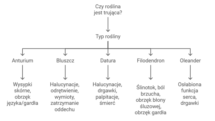 Jakie rośliny doniczkowe są trujące?