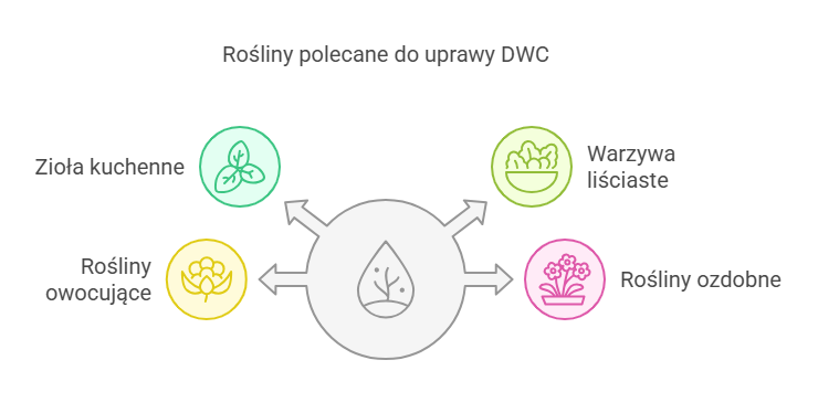 Rośliny polecane do uprawy DWC