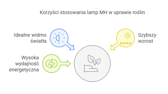 Korzyści stosowania lamp MH w uprawie roślin