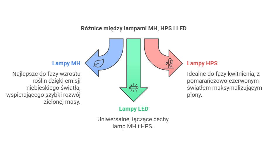 Różnice między lampami MH, HPS i LED