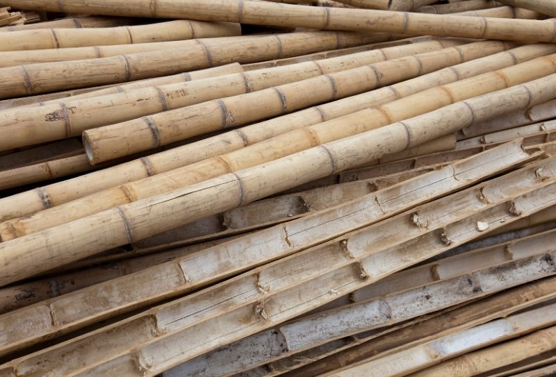 Wykorzystanie tyczek bambusowych w uprawach roślin